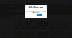 Desktop Screenshot of bullcams.com